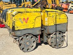 General Appearance with Paint