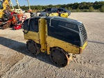 General Appearance with Paint