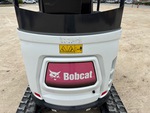 General Appearance with Paint