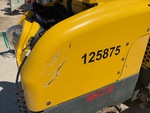 General Appearance with Paint