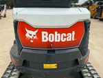 General Appearance with Paint