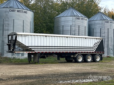 2001 Doepker 42 ft Tri/A Grain Trailer