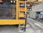 General Appearance with Steps/Ladders