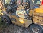 General Appearance with Paint