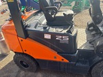 General Appearance with Paint
