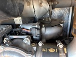 Engine with Exhaust System