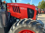 General Appearance with Paint