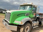 General Appearance with Paint