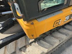 General Appearance with Paint