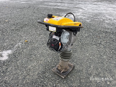 2023 Wacker BS60 Dameuse sauteuse