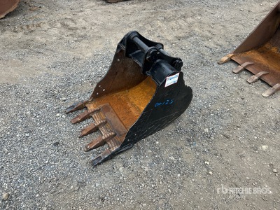 Cat 24 in Digging Excavator Bucket