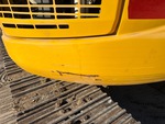 General Appearance with Paint