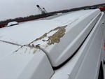 General Appearance with Paint