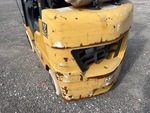 General Appearance with Paint
