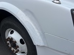General Appearance with Paint