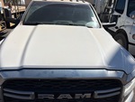 General Appearance with Paint