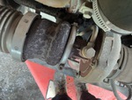 Engine with Exhaust System