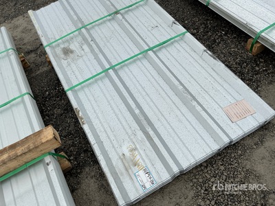 Quantity of 2026 Kit Containers Steel R Panels 6'x3' RAW (Unused)