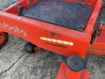 General Appearance with Paint