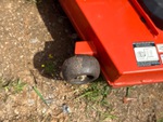 Chassis with Caster Condition