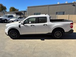 General Appearance with Paint