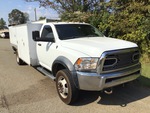 General Appearance with Paint