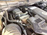 Engine with Exhaust System