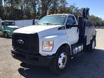 General Appearance with Paint
