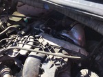 Engine with Exhaust System