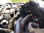 Engine with Fuel System