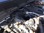 Engine with Exhaust System