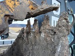 Specialty with Backhoe / Excavator Bucket Shanks and Teeth