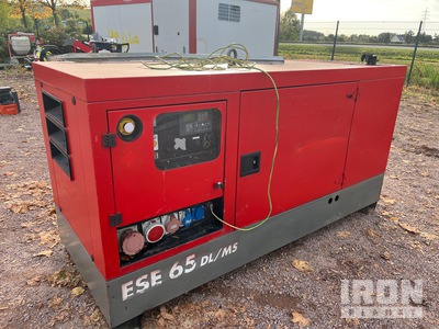 2014 Endress ESE65DL/MS/PPP Skid-Mounted Zestaw prądotwórczy