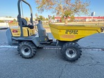 General Appearance with Paint