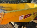 General Appearance with Paint