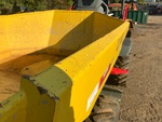 General Appearance with Paint