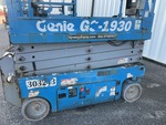 General Appearance with Paint