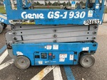 General Appearance with Paint