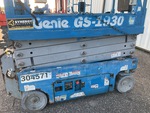 General Appearance with Paint