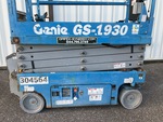General Appearance with Paint