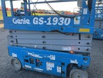 General Appearance with Paint