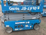 General Appearance with Paint
