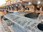 Undercarriage with Right Track Links