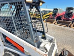 General Appearance with Hand Rails