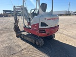 General Appearance with Paint