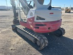 General Appearance with Paint