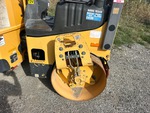 General Appearance with Paint