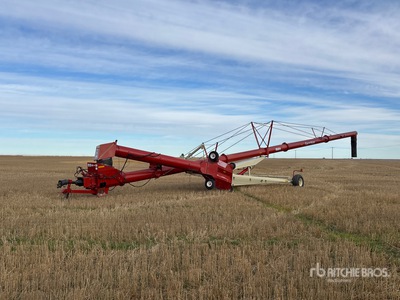 2018 Farm King 1684 16 in x 84 ft Swing Barrena de grano