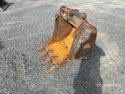 29 in Excavator Bucket