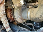 Engine with Exhaust System